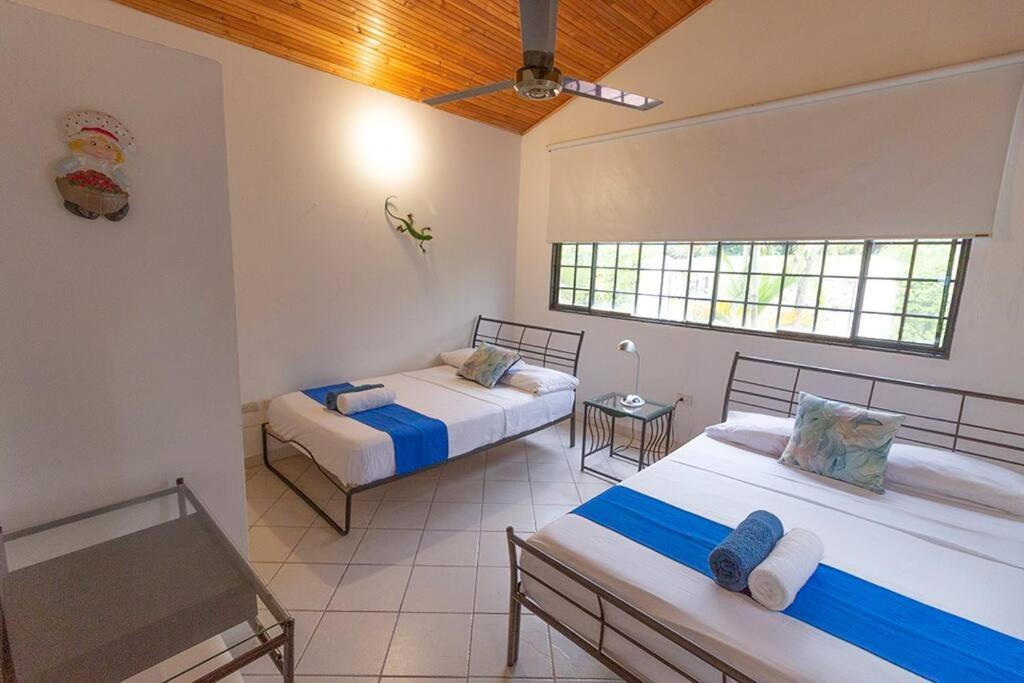 Amazing House Private Swimming Pool & Air Conditioner Melgar